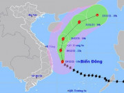 Tin tức trong ngày - Bão số 9 giật cấp 17, áp sát các tỉnh Bình Định - Phú Yên