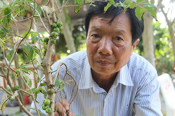 Ông Huỳnh Công Thống giảm sản lượng nho thân gỗ thành phẩm bán trong dịp Tết năm nay