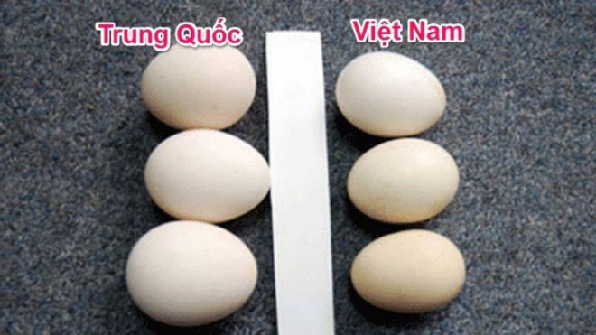 Cách phân biệt trứng gà ta, trứng gà Trung Quốc đơn giản nhưng không phải bà nội trợ nào cũng biết - 2