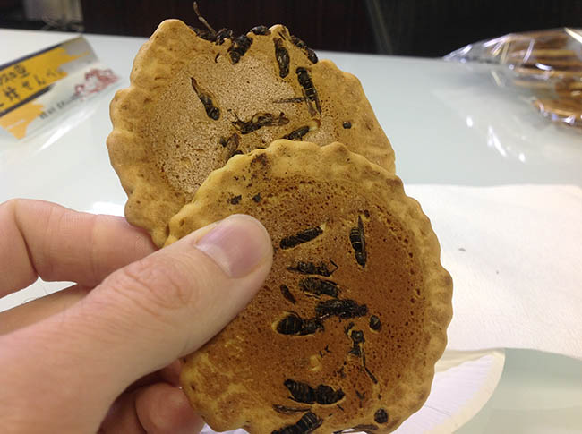 15. Bánh quy ong bắp cày

Tại thị trấn Omachi, Nhật Bản, ong bắp cày sau khi được luộc chín, phơi khô sẽ được người ta trộn với hỗn hợp làm bánh quy để tạo ra một loại đặc sản kỳ lạ.


