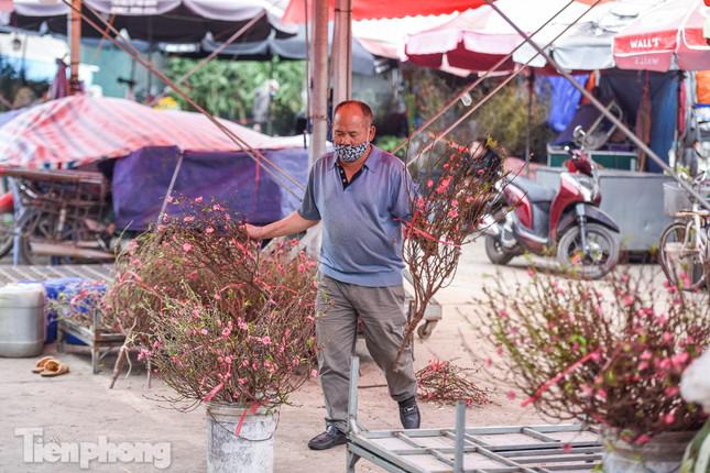 Những cành đào được quấn dây, bó cẩn thận để tránh tình trạng dập, gãy cành trong quá trình vận chuyển.