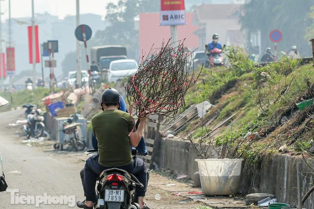 Cành đào nhỏ hợp để trang trí trong nhà vào thời điểm cận Tết.