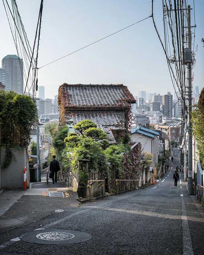 Những ngôi nhà Nhật Bản có tuổi đời hàng trăm năm không bị hư hại giữa phố xá hiện đại - hình ảnh 2