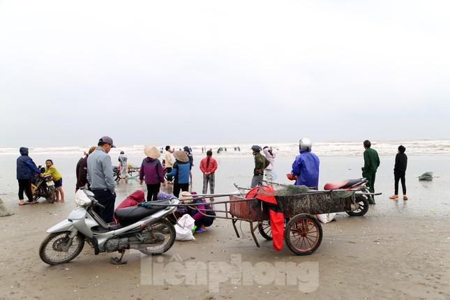 Người dân Hà Tĩnh đổ xô ra bờ biển vợt &#34;lộc trời&#34; ngày cuối năm - hình ảnh 10