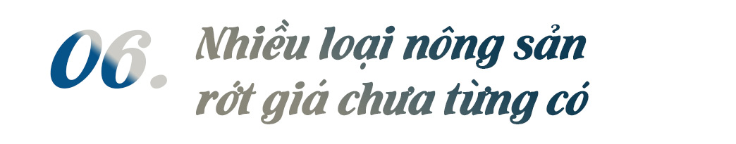 Thị trường năm 2021: Nổi “sóng lớn” với hàng loạt con số không thể nào quên - 12