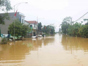 Tin tức trong ngày - 7 người chết và mất tích, hàng nghìn ngôi nhà ngập trong mưa lũ, Thủ tướng yêu cầu tập trung khắc phục