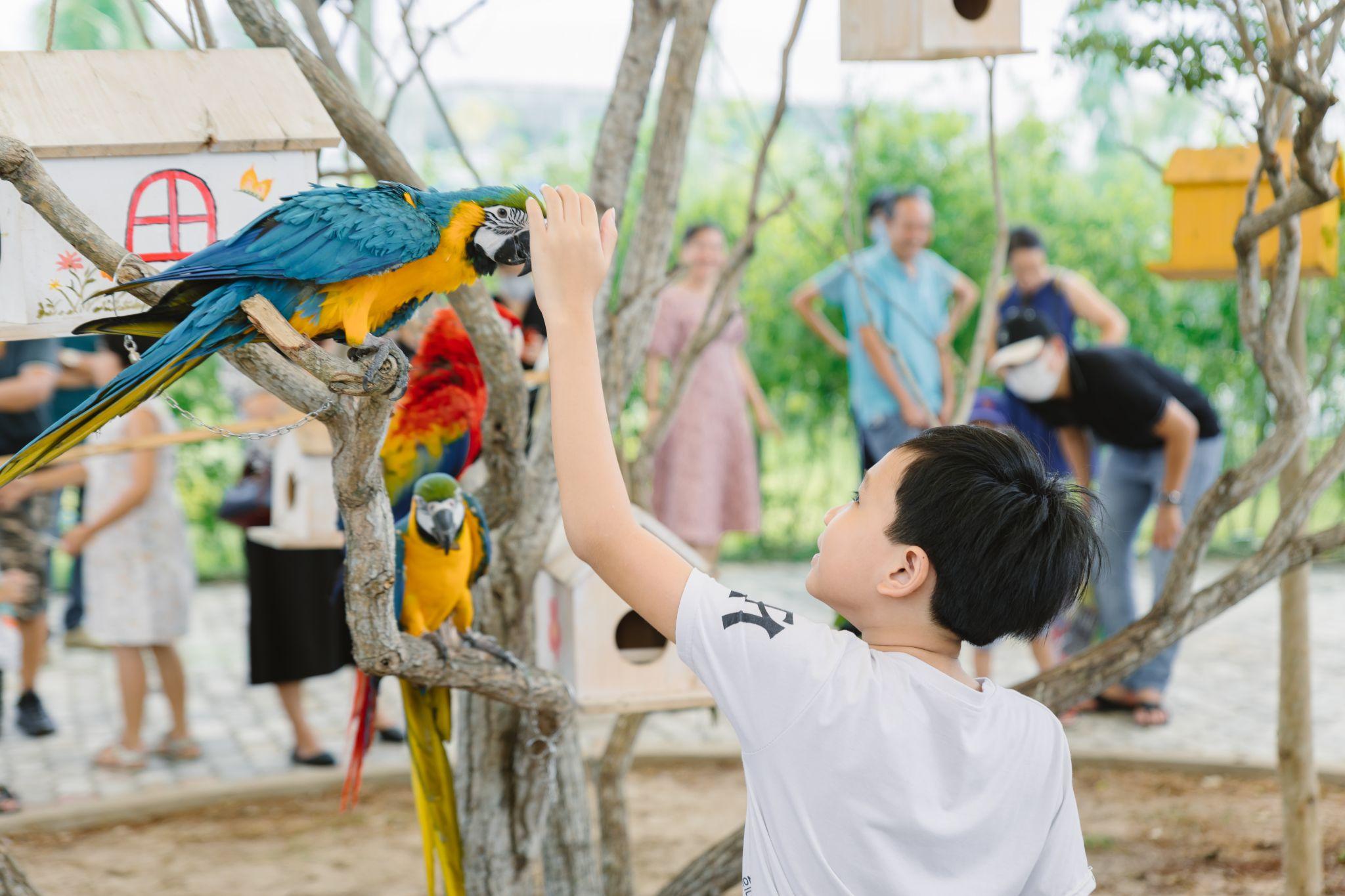 Trẻ em thích thú chơi đùa cùng những chú vẹt đáng yêu tại Charm Resort Hồ Tràm