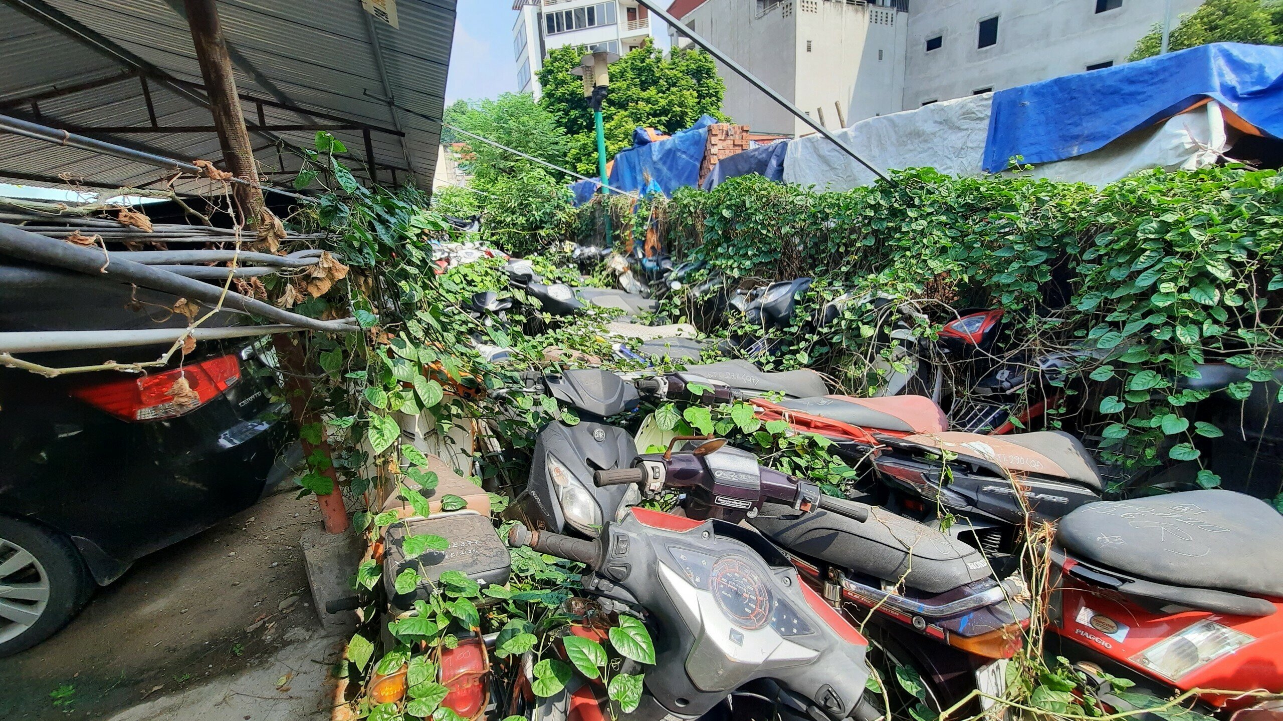 Nhiều bãi trông giữ phương tiện vi phạm giao thông của TP Hà Nội đang quá tải. Có những xe vi phạm phơi mưa, phơi nắng nhiều năm nhưng không có chủ đến nhận cũng như chưa thể thanh lý.