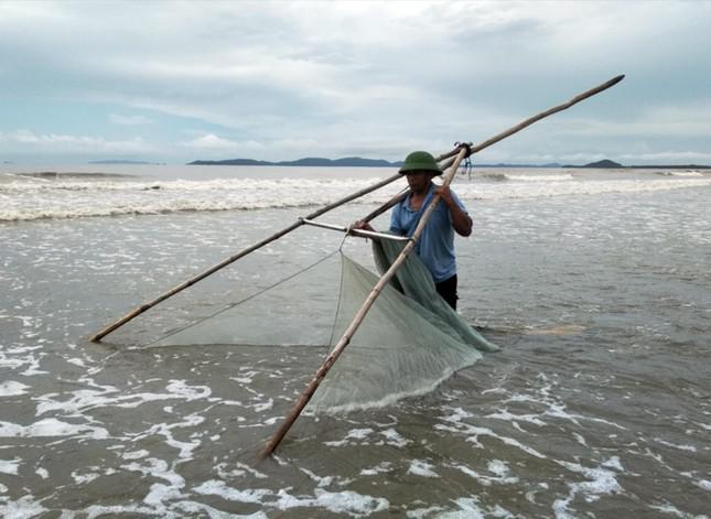 Mùa tép nhảy trên biển Trà Cổ - 2