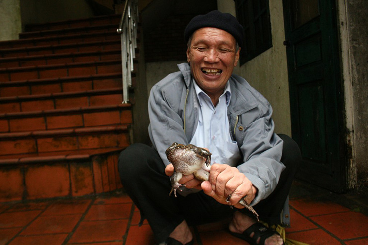 Tại các tỉnh miền Bắc, chỉ duy nhất tại Lạng Sơn người ta mới tìm thấy giống ếch này. 
