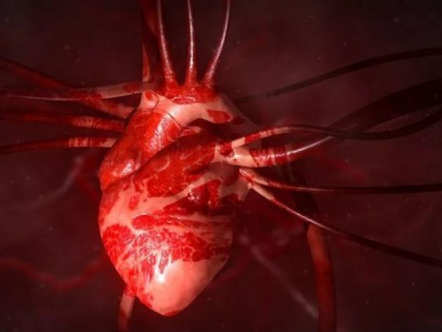 Kỳ diệu: ”Hormone tình yêu” oxytocin có thể giúp hàn gắn trái tim tan vỡ