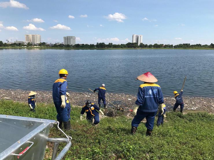 Vì sao cá chết hàng loạt tại hồ điều hòa Yên Sở?