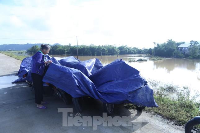 Do nước ngập nên xe cộ vẫn chưa thể lưu thông, người dân đành phải bỏ trên đê.