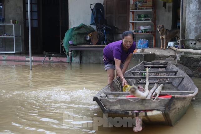 Bà Nguyễn Thị Tuất (65 tuổi), trú xóm Phú Xuân, xã Châu Nhân chia sẻ: "Nhà tôi bị ngập toàn bộ. Gà, vịt bị nước lũ cuốn trôi hết. Đồ đạc trong nhà dù đã kê cao nhưng đều bị ngấm nước, hư hỏng. Cả tuần nay nước vẫn chưa rút hết khiến cuộc sống gặp nhiều khó khăn".