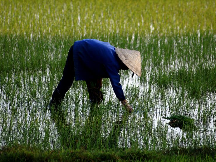 Những nghề nào đang dần biến mất, bạn có nguy cơ mất việc không?