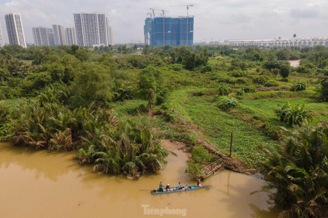 Một khu vực do tổ thi công của Tổng công ty Tư vấn thiết kế giao thông vận tải (TEDI) được giao nhiệm vụ cắm cọc.