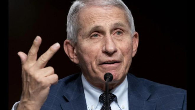 TS Anthony Fauci. Ảnh: WLRN