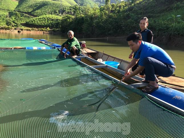 Anh Lãnh Văn Mùi tỉ mỉ kiểm tra từng lồng cá