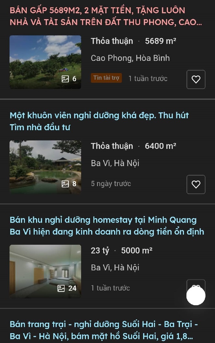 Vỡ mộng homestay, loạt ông chủ rao bán khu nghỉ dưỡng “tặng kèm nhà” - 1