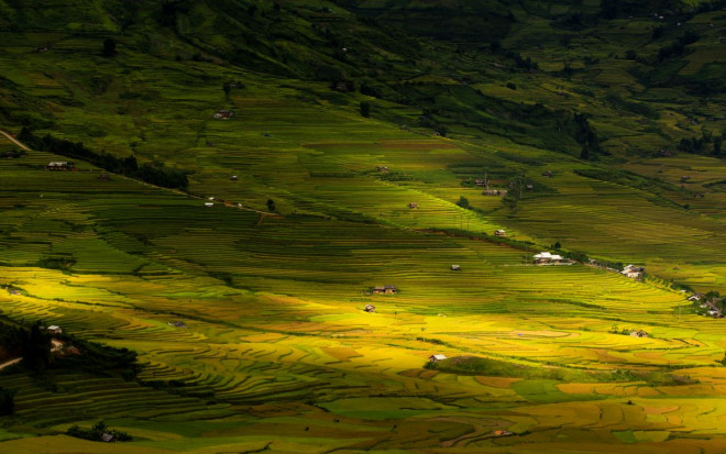 Mù Cang Chải, những mùa thương - 4