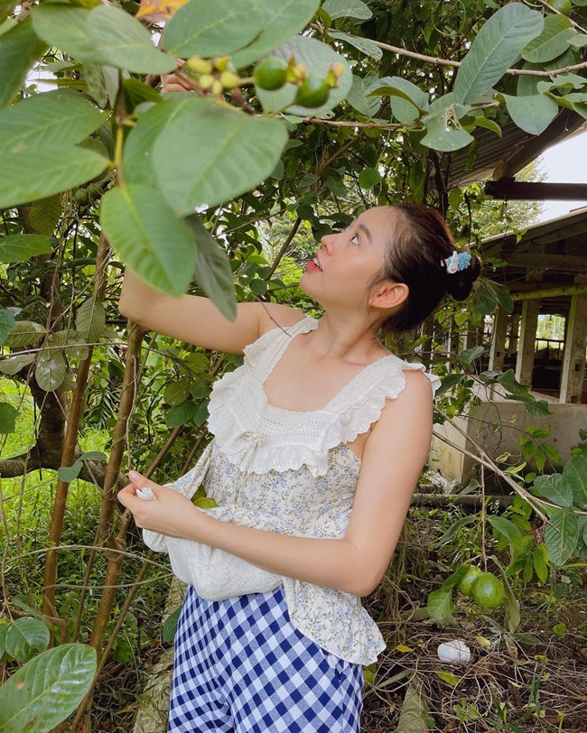 Việt Phương Thoa không ngại dùng áo để đựng ổi - thành quả mà cô hái được khi về thăm quê.
