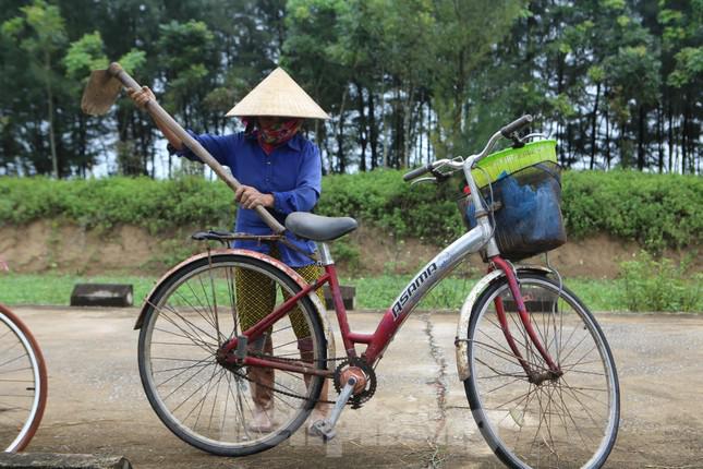 Người dân bắt dế chỉ đi vào buổi sáng, đến tầm trưa người dân sẽ về nhà.