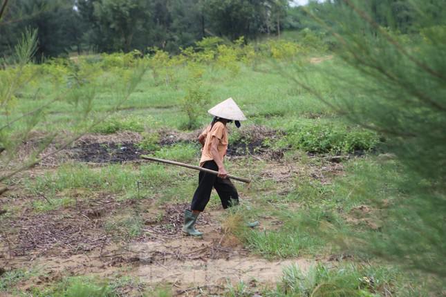 Để tìm được hang dế ở, người dân phải đi các cánh đồng trống hoặc bãi cát bồi nơi dế thường hay làm hang trú ẩn. Mỗi bước chân đều phải đảo mắt nhìn kỹ xuống đất để tìm hang.