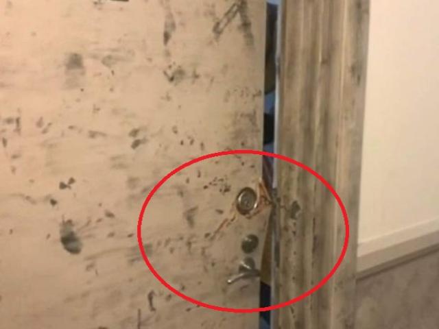Úc: Phá cửa xông vào căn hộ của cặp đôi TQ, thấy cảnh ghê người trong tủ đông lạnh