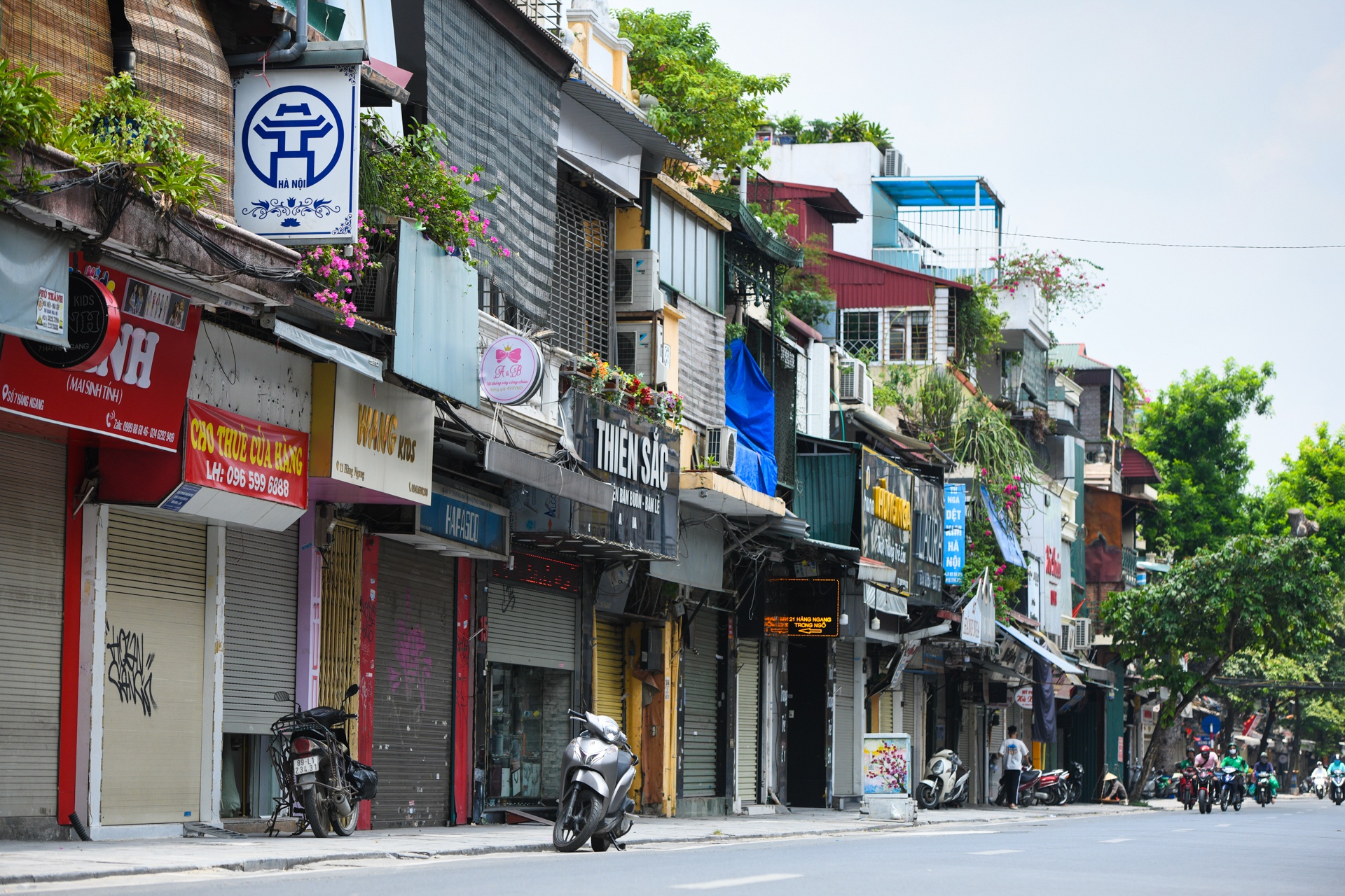 Nhiều người điêu đứng vì ôm BĐS vùng đỉnh, người có BĐS phân khúc này vẫn mỏi tay đếm tiền - 1