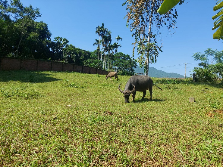 Theo các chuyên gia BĐS, có hơn 50% nhà đầu tư đang mắc kẹt thời điểm này