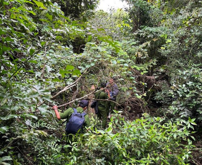 Hơn 100 cảnh sát, kiểm lâm trắng đêm tìm 1 phụ nữ mất tích trên núi Tà Cú - 1