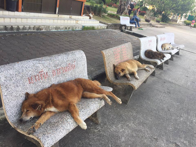 Mỗi đứa một ghế, không ai giành ai nhé.
