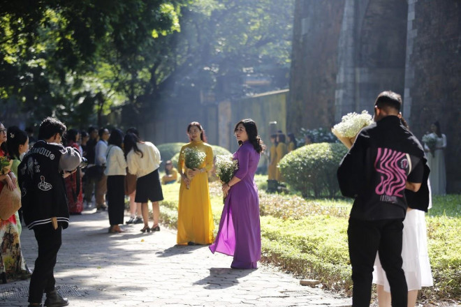 Hoa cúc họa mi cũng là sự lựa chọn của nhiều người như để chào đón một mùa thu Hà Nội lãng mạn, dịu nhẹ, ngọt ngào, tinh khôi.