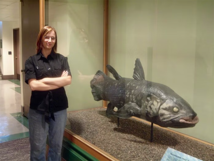 Coelacanth, một loại cá cổ đại được cho là đã tuyệt chủng. Tuy nhiên, một con đã được phát hiện lại vào năm 1938 ngoài khơi Nam Phi và một lần nữa, vào đầu những năm 2000, người ta đã tìm thấy một quần thể gồm 6 con Coelacanth sống ở khu vực Sodwana.