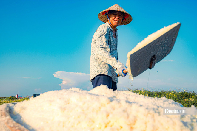 Sau đó, họ dùng xe thu gom, mang về đóng gói rồi bán ra thị trường.