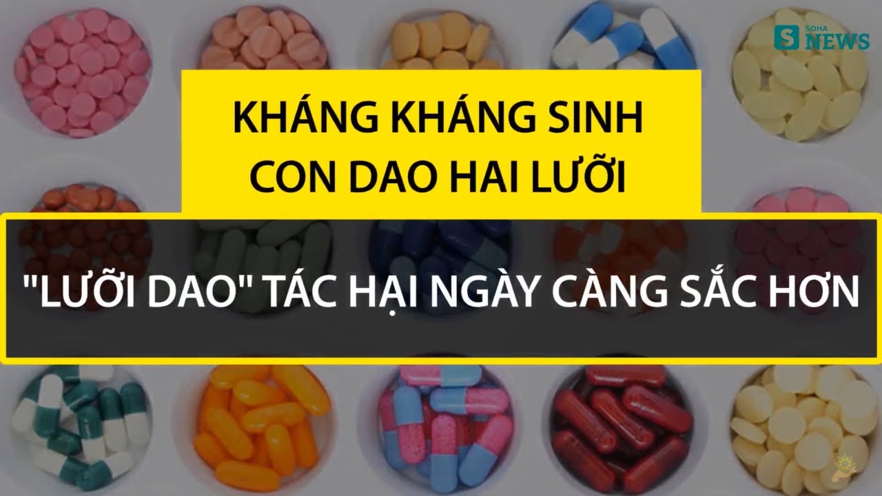 Việt Nam nằm trong các nước có tỷ lệ kháng kháng sinh cao nhất thế giới