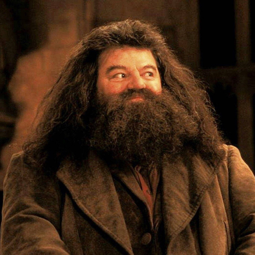 &#34;Bác Hagrid&#34; của Harry Potter qua đời ở tuổi 72, từng phải chiến đấu với căn bệnh nhiều người gặp phải - 1