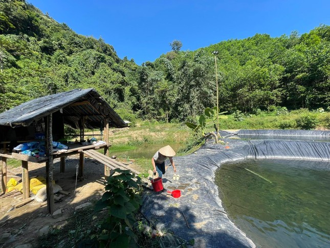 Thời gian đầu, ông Mạ phải mất 1 năm để tìm được địa điểm. Khi thấy khu đồi nhà mình đủ tiêu chuẩn để nuôi cá như đầu nguồn nước suối, nước đủ lạnh, ông quyết định đầu tư hệ thống hồ, lưu thông nước với diện tích 6.000m2.