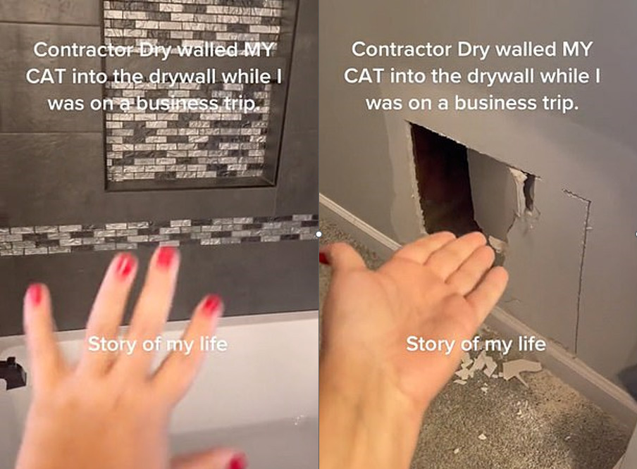 Một nhà thầu đã nhốt con mèo của cô vào trong một bức tường sau khi vá một cái lỗ, mà không nhận ra rằng con mèo đã lẻn vào bên trong