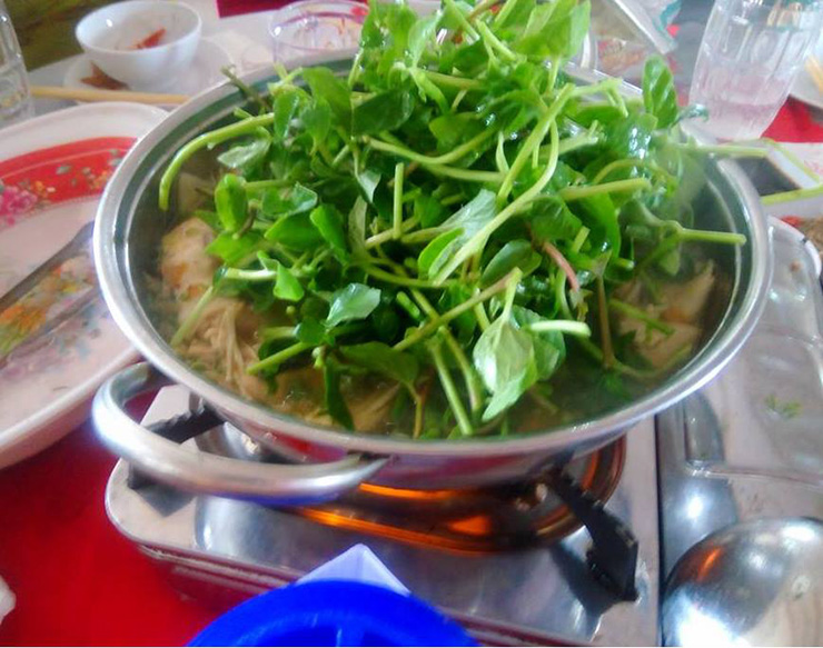 Các món ăn từ rau lỗ bình rất nổi tiếng trong các nhà hàng như salad, lỗ bình xào tỏi, bánh xèo rau rừng, lẩu gà rau lỗ bình, rau rừng kho quẹt…
