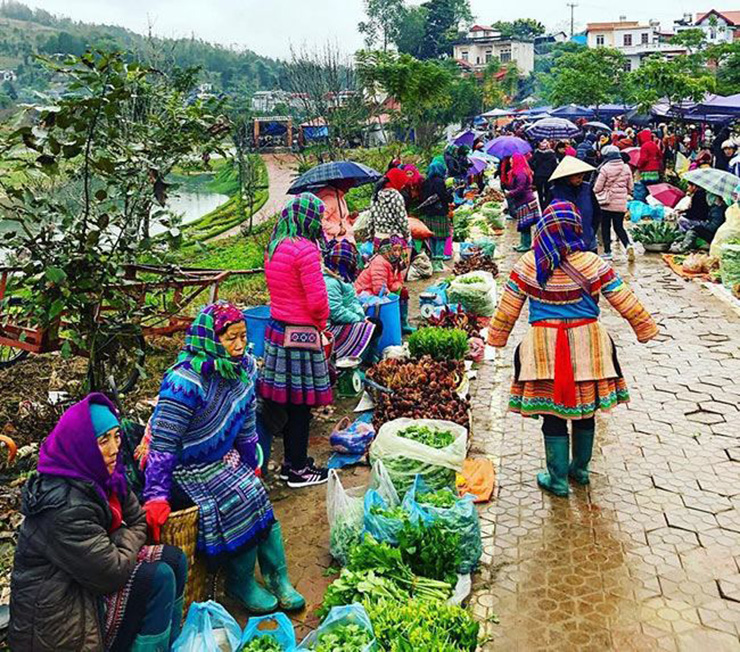 &nbsp;Tại các chợ phiên của người dân ở Tây Bắc, rau lỗ bình được bán đại trà, là rau lạ lại sạch và ngon nên rất được ưa chuộng
