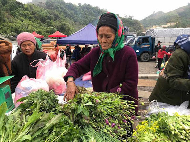 Lỗ bình từng được đưa vào hạng mục cần bảo tồn của Tây Nguyên, nhằm mục đích thoát khỏi nguy cơ tuyệt chủng
