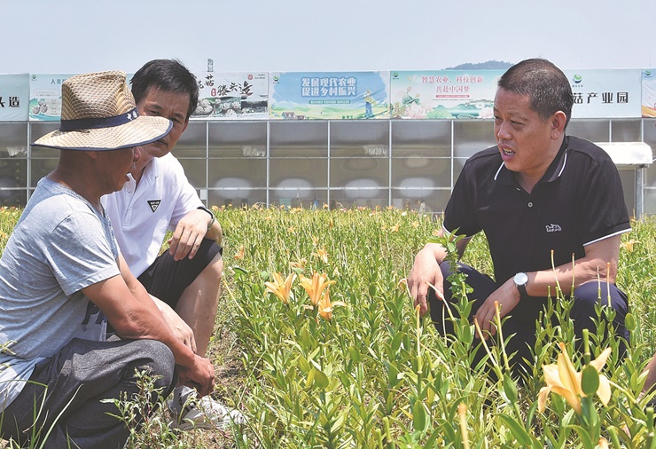 Đổi mới không ngừng là phương châm của lãnh đạo làng.&nbsp;Tengtou từng nằm trong danh sách một trong "500 ngôi làng sinh thái hàng đầu trên thế giới".
