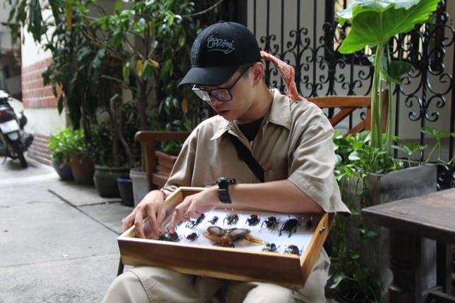 Nguyễn Huỳnh Anh Kiệt dành thời gian với thú chơi tiêu bản sưu tầm bọ cánh cứng.