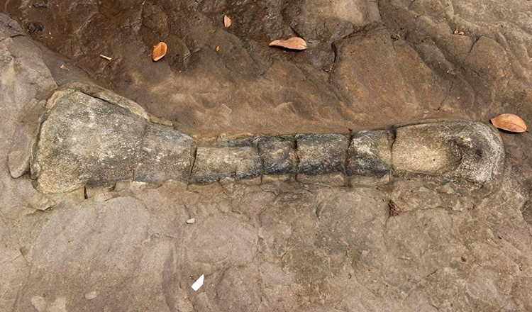 Hóa thạch khủng long trên đảo Koh Por của Campuchia (ảnh: Khmer Times)