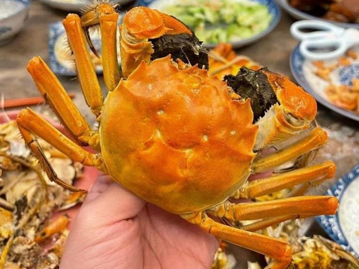 Thị trường - Tiêu dùng - Sự thật “cua lông Thượng Hải” có giá rẻ hơn cua biển, chị em thi nhau mua