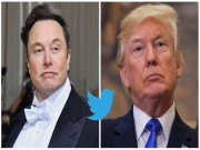 Công nghệ thông tin - Elon Musk tiết lộ số phận của những tài khoản từng bị khóa trên Twitter