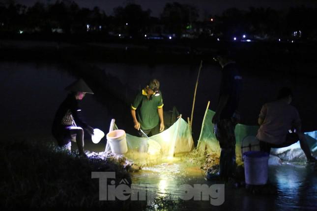 Kế bên ruộng bà Trâm, ông Phạm Văn Lợi cũng đang hì hục vớt rươi. Ông cho biết, tối nay rươi về nhiều hơn tối qua nhưng con nhỏ hơn. Trong một buổi tối, ông vớt được gần 1 yến rươi, bán ngay tại ruộng được gần 4 triệu đồng.