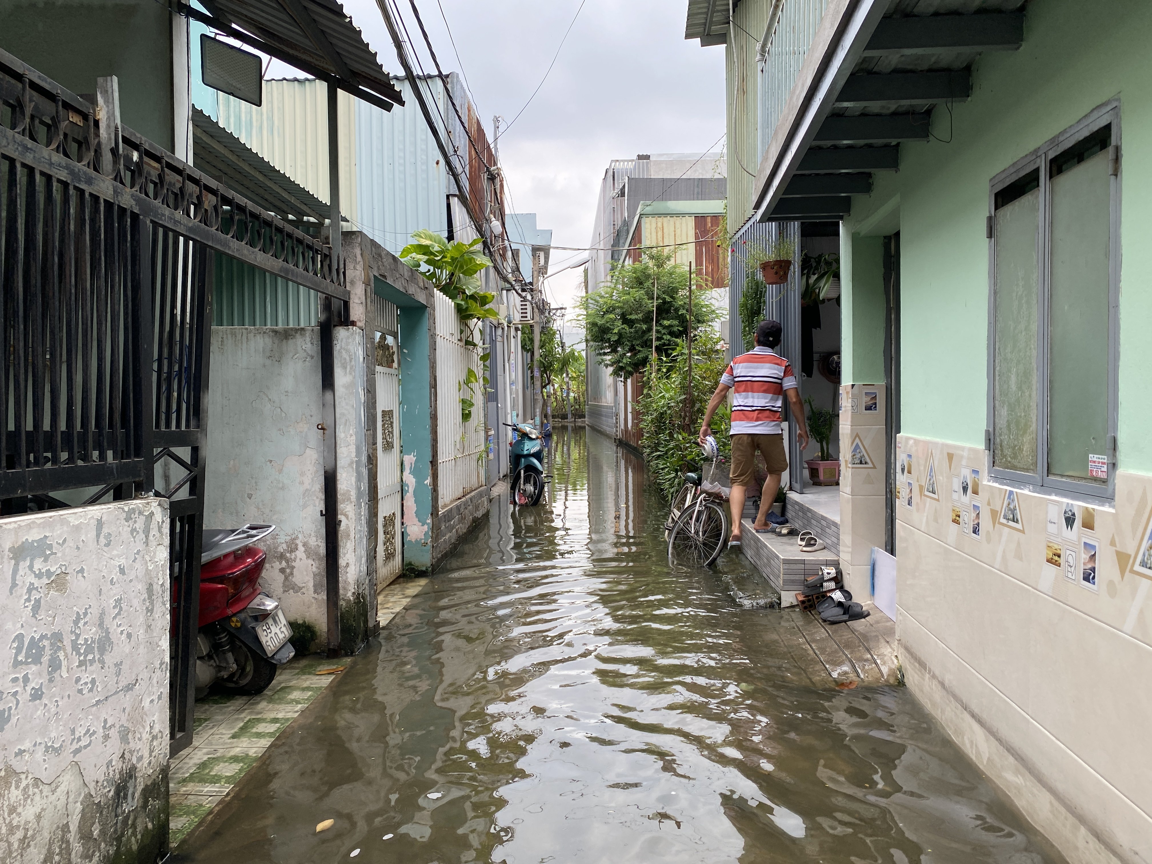 “Trận mưa vào cuối tháng 10 khiến nơi đây có đoạn ngập cả mét. Khi nước đang rút dần thì trời tiếp tục mưa nên gây ngập cả tuần qua. Nước ngập và ô nhiễm khiến muỗi sinh sôi rất nhanh”, người đàn ông sống trong hẻm 17 đường Tam Bình cho biết.