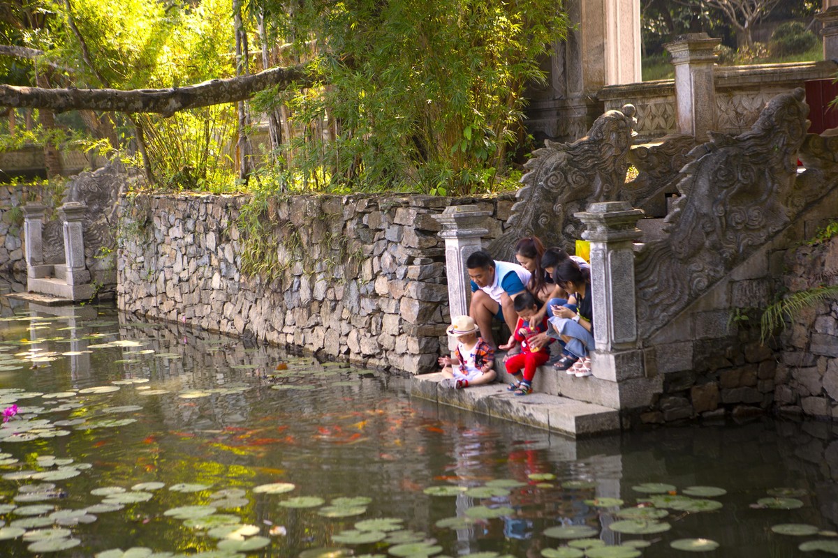 Khu vực hồ nước trong xanh, hoa súng, ngắm cá bơi lội còn tạo cảm giác yên bình cho du khách ghé thăm.